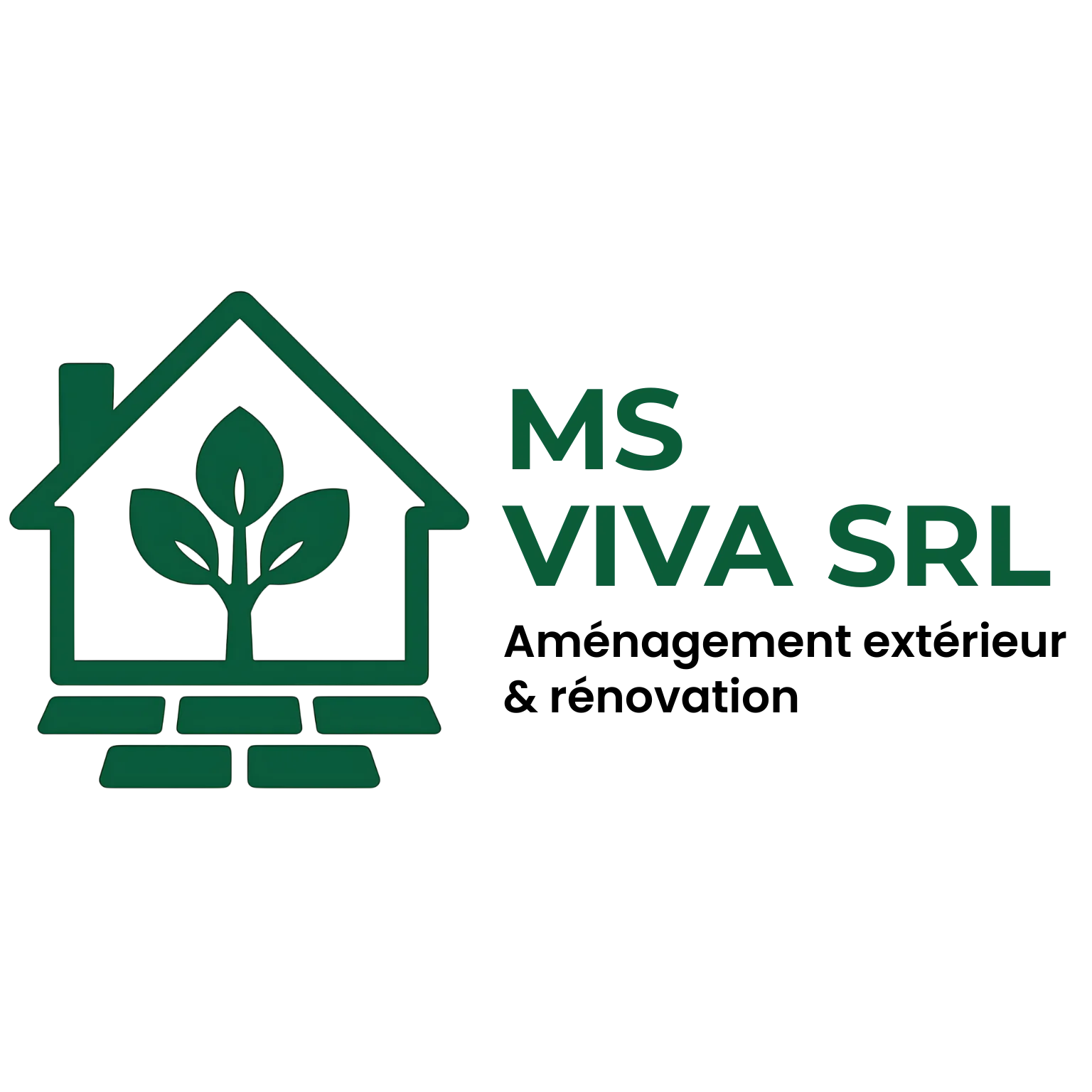 MS VIVA SRL logo